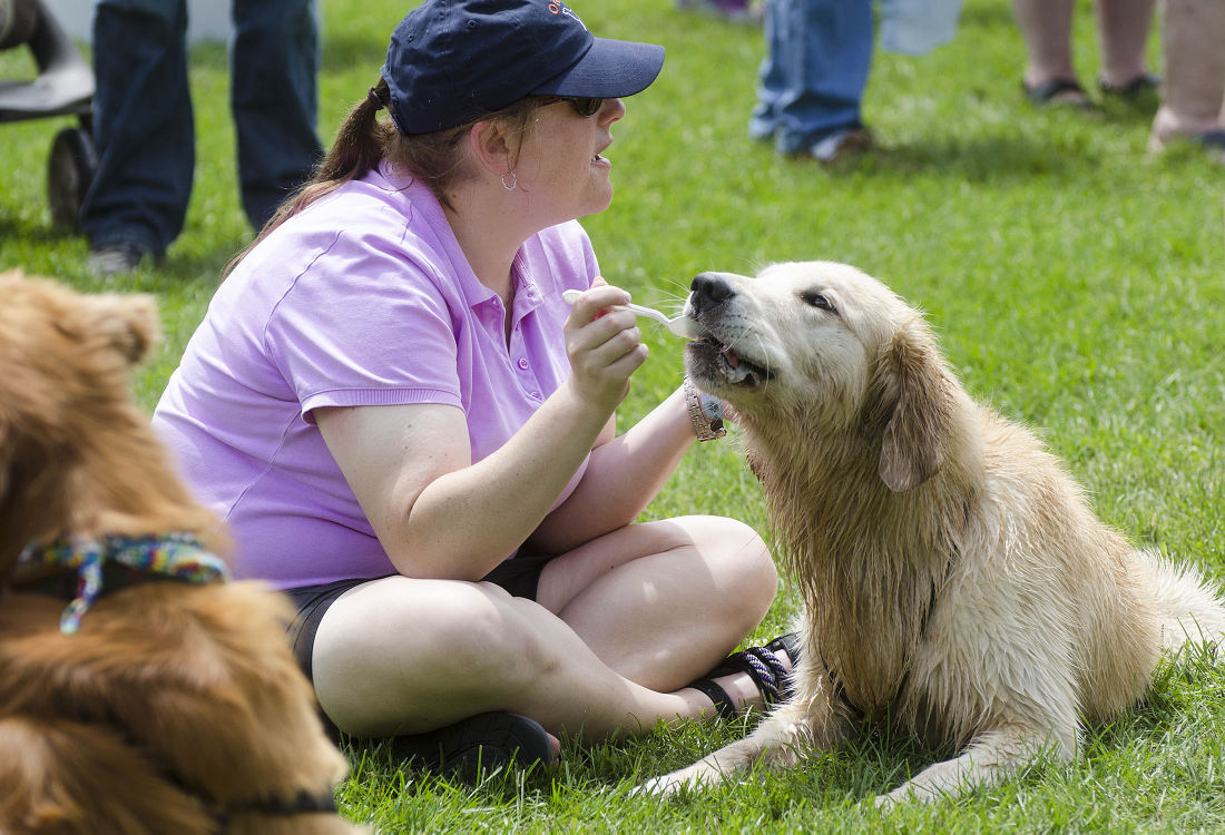 062215-nws-woofstock11.jpg